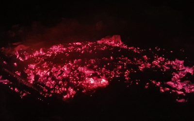 Die Schatten im weiblichen Feld oder: “die innere Patriarchin“