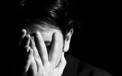 Schöner Scheitern! Die Kompost-Kunst der Fehlschläge.