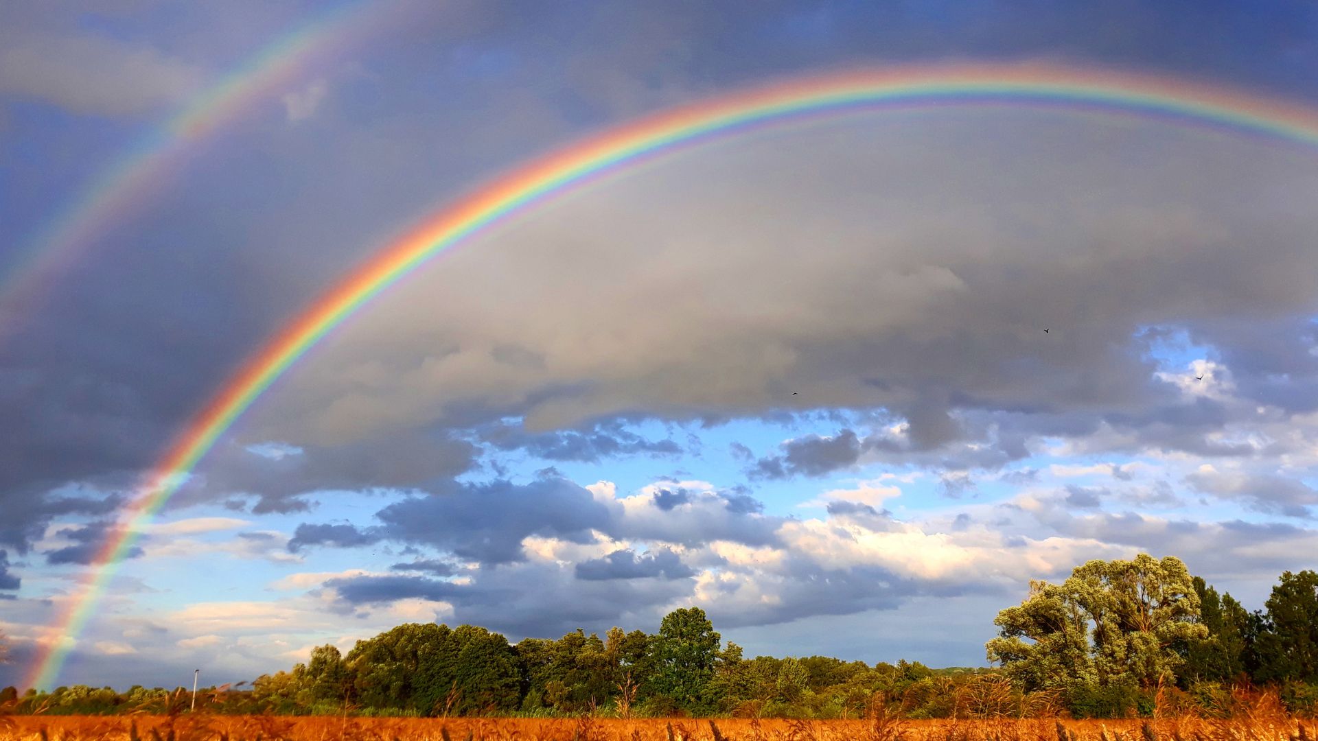 Grüne Flaggen im spirituellen Bereich