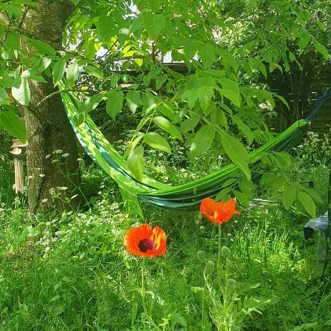 Hängemattenlieblingsplatz