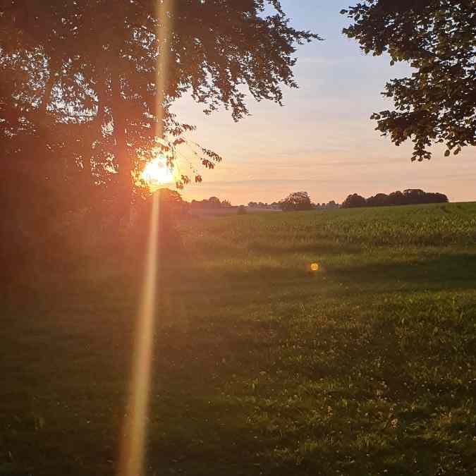 Sommersonnenwende an den Buchen