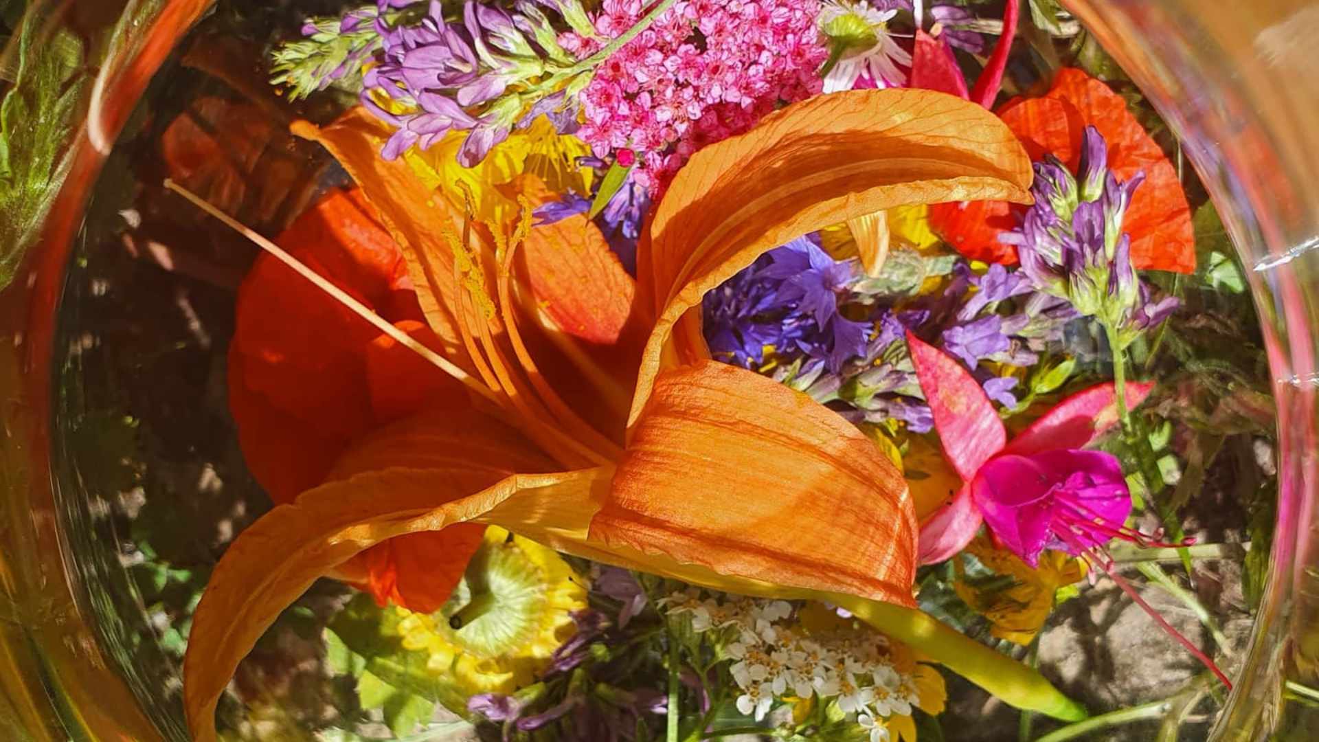 Frauenkreise bei Ulm auf der Schwäbischen Alb