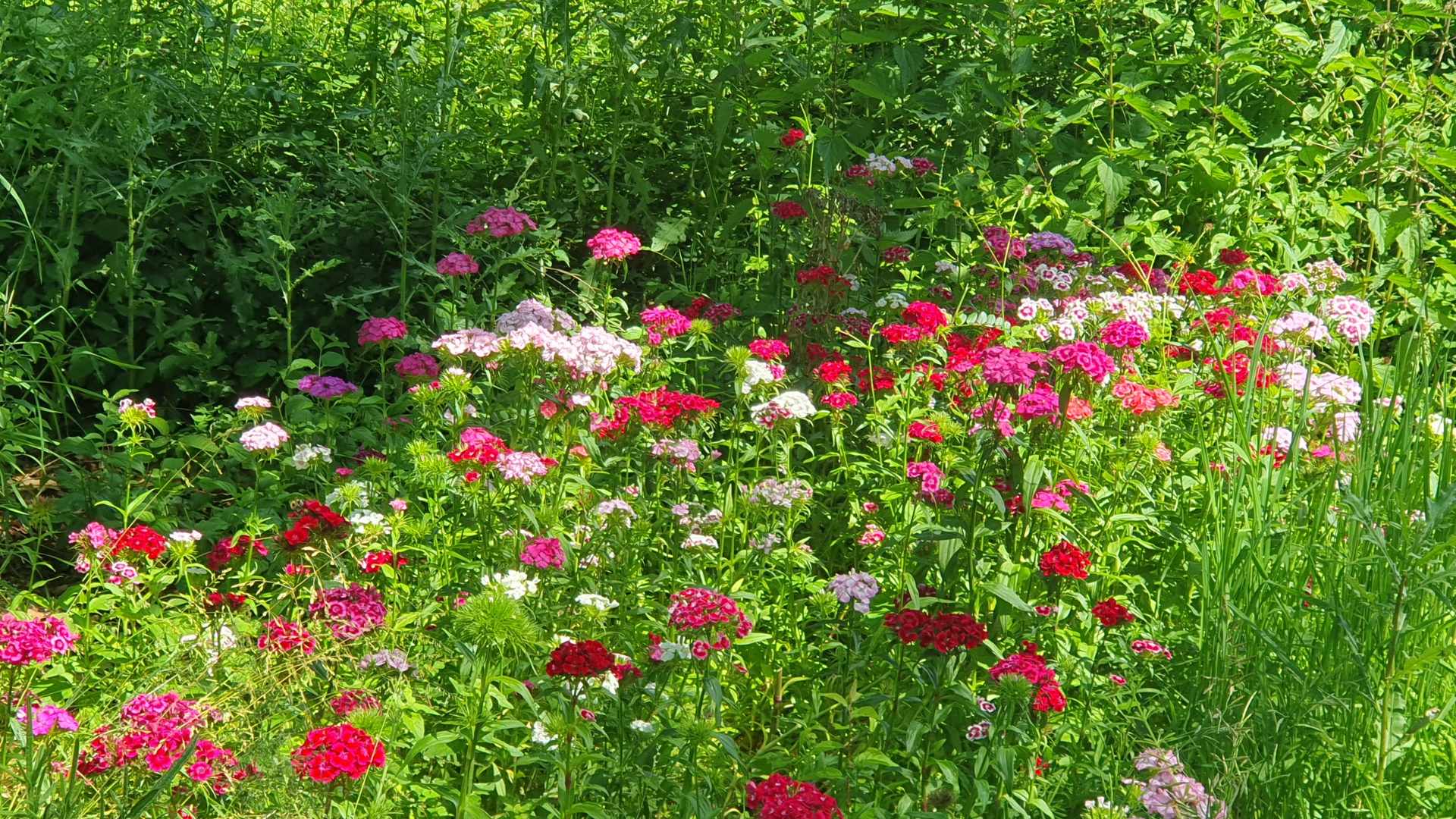 Woran erkenne ich, dass ein Frauenkreis sicher ist?