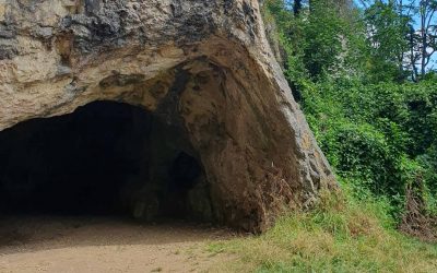 Ahninnenarbeit und Heilung der weiblichen Linie