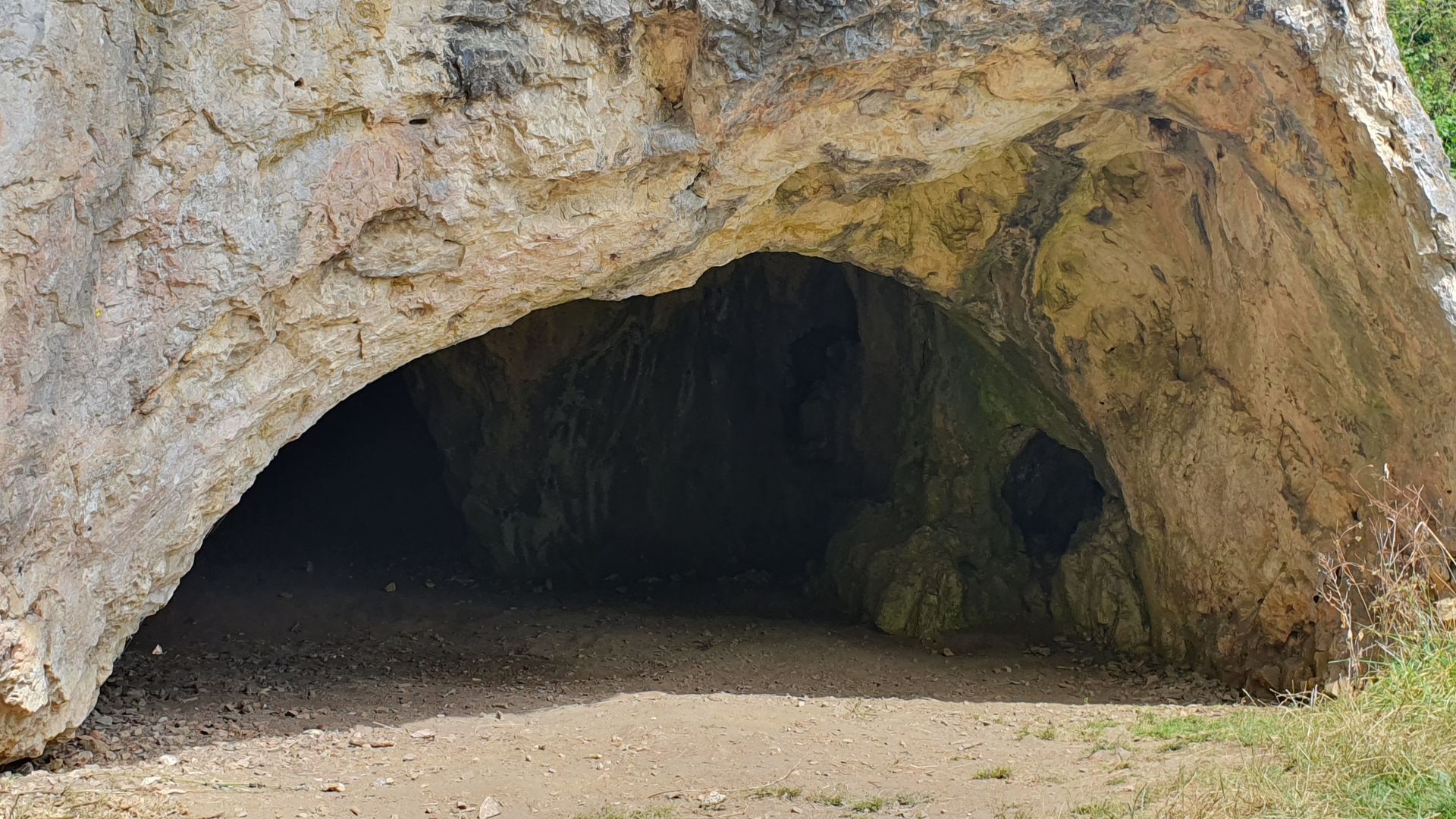Der Weg zu dir Selbst: Erfahrungen aus der Shamanic Women Practitioner Ausbildung